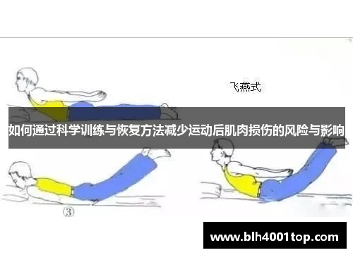 如何通过科学训练与恢复方法减少运动后肌肉损伤的风险与影响